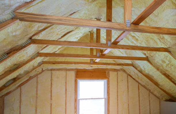 Best Eco-Friendly Insulation in Berly, MO